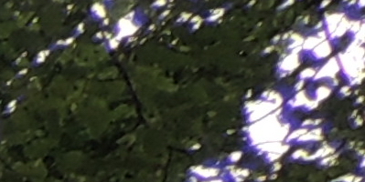 Nikon Coolpix P510: lovec rekordů