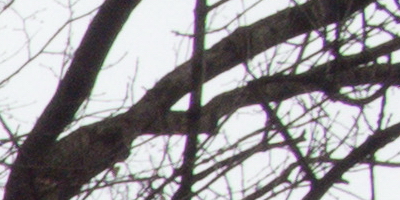 Samsung EX2F: významný krok vpřed