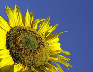 Fotografické a grafické kurzy NICOM s letní slevou 19 %