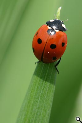 Cesta ke kvalitní fotografii: 3.díl