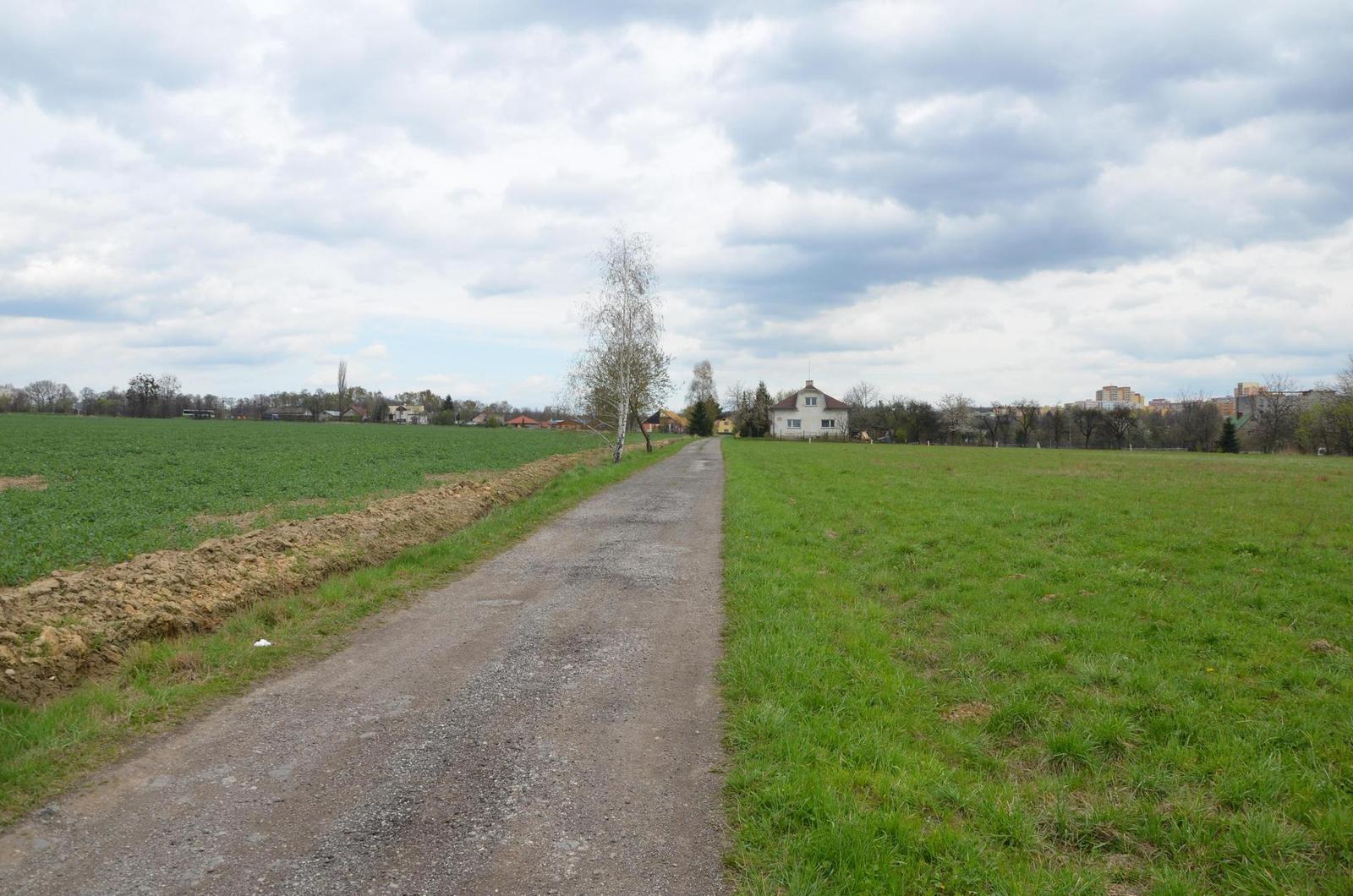 Nikon D5100: jeden z nejlepších?