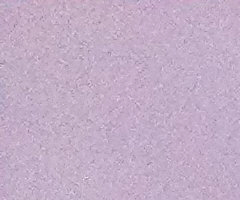 Nokia N86 8MP: s objektivem od profíka