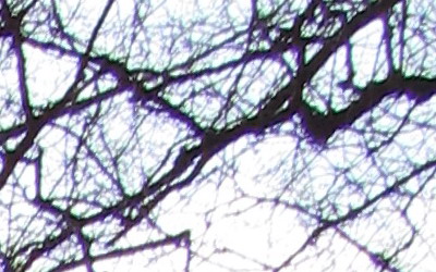 Canon PowerShot SX130 IS: levný všeuměl