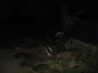 Canon PowerShot A700: Mezi kompaktem a ultrazoomem