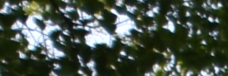 Tamron SP AF 10-24mm F3.5-4.5 Di II LD Aspherical IF