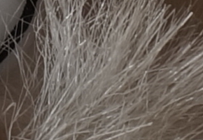 Sony SLT-A58: silný základ