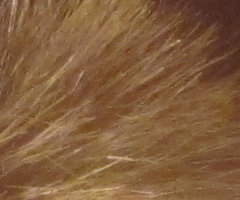 Canon IXUS 300 HS: superstylovka i pro náročné