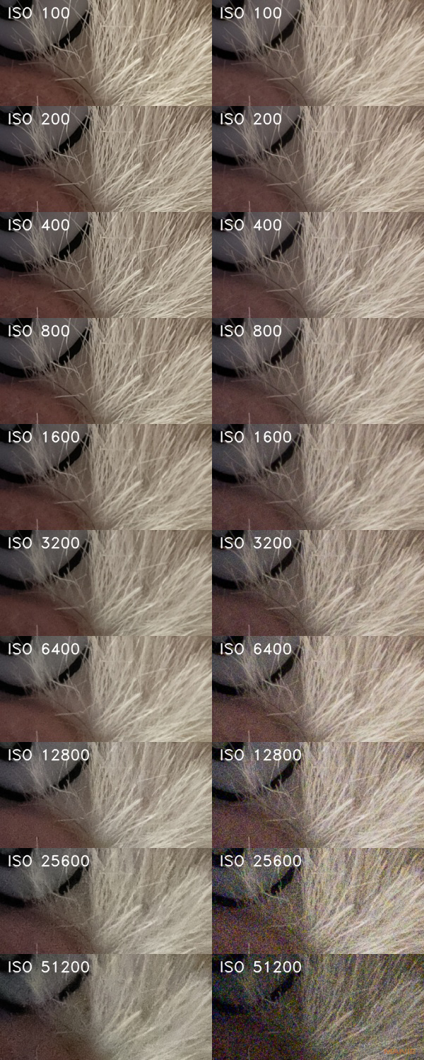 Fujifilm X-T20: zatraceně dobře fotící APS-C