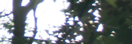 Sony E PZ 18-105mm F4 G OSS (SELP18105G)