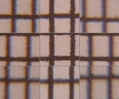 Panasonic Lumix TZ10: kapesní dělo