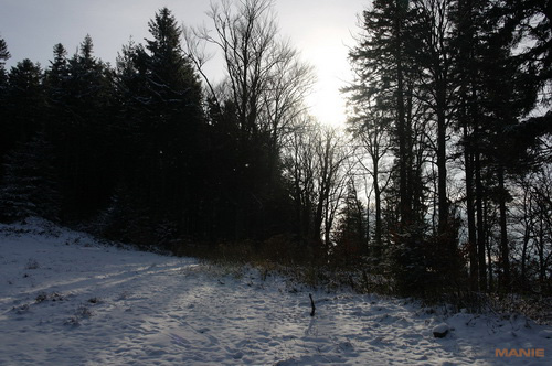 Samsung NX100: "zrcadlovka" do kapsy