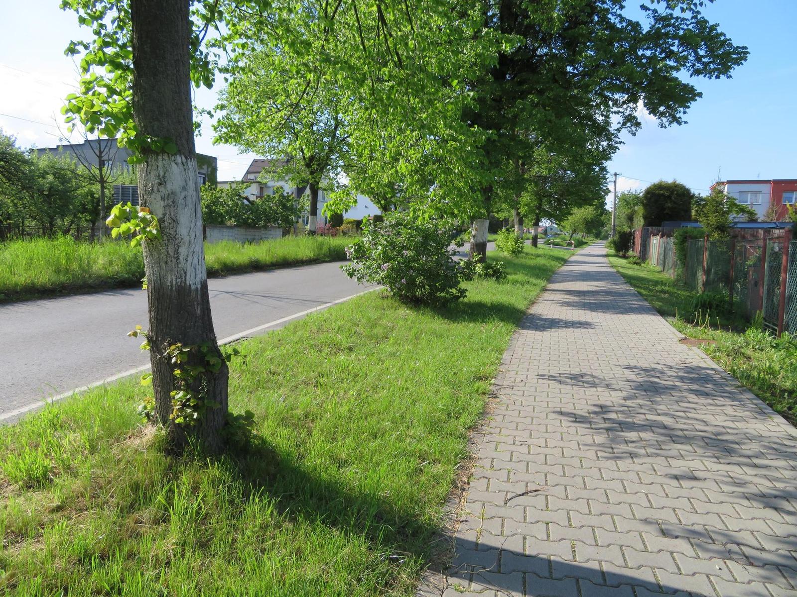 Canon PowerShot SX720 HS: kapesní šmírování