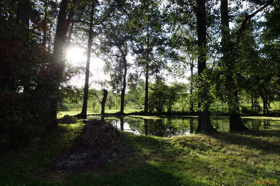 Sony Cyber-shot RX100: terminátor zrcadlovek