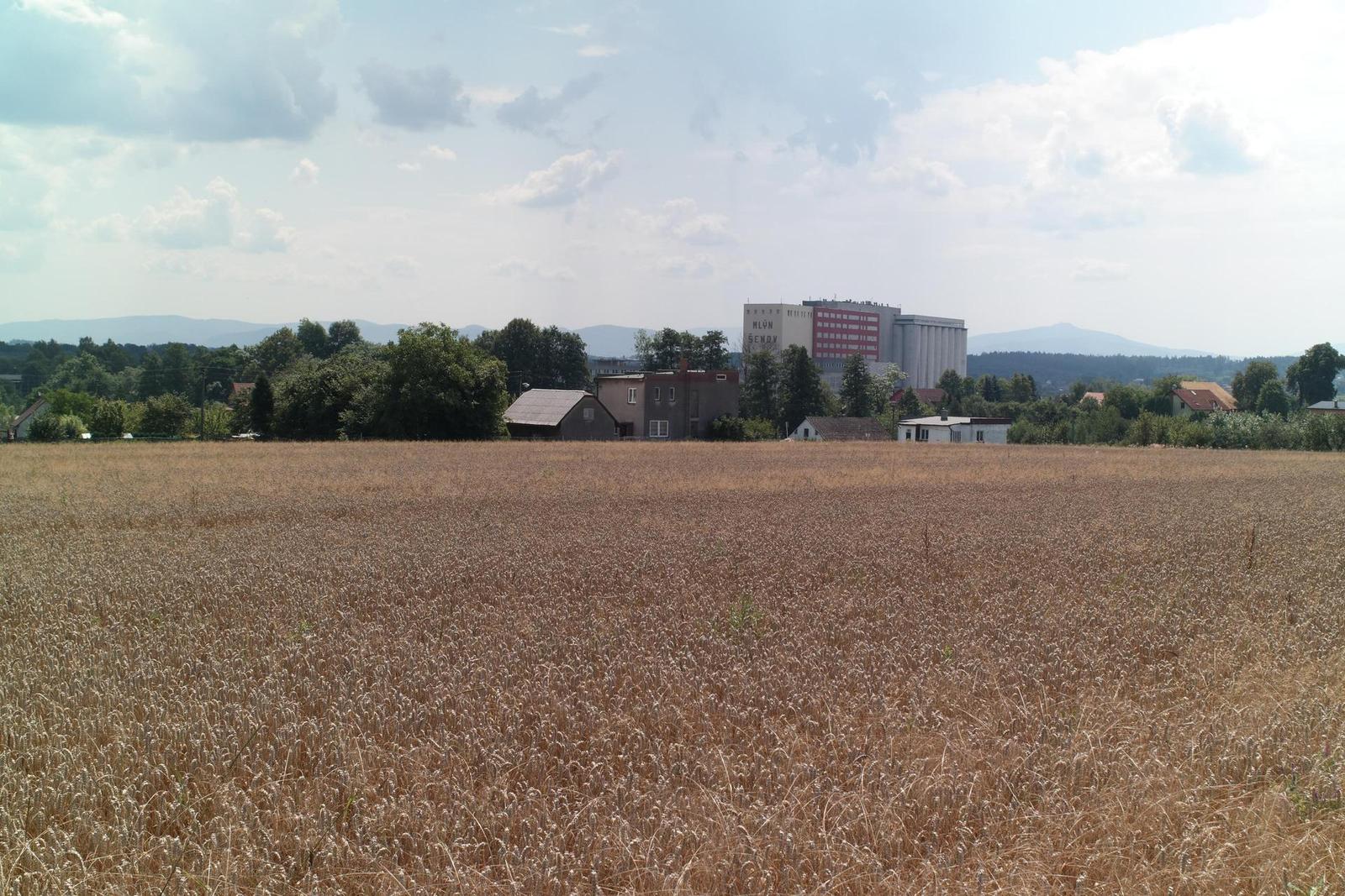 Olympus OM Zuiko 28mm f/2.8 (OM)