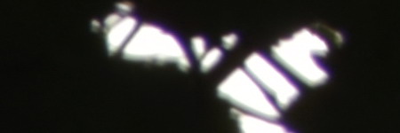 Nikon AF-S DX NIKKOR 55-200mm f/4-5.6G IF-ED VR