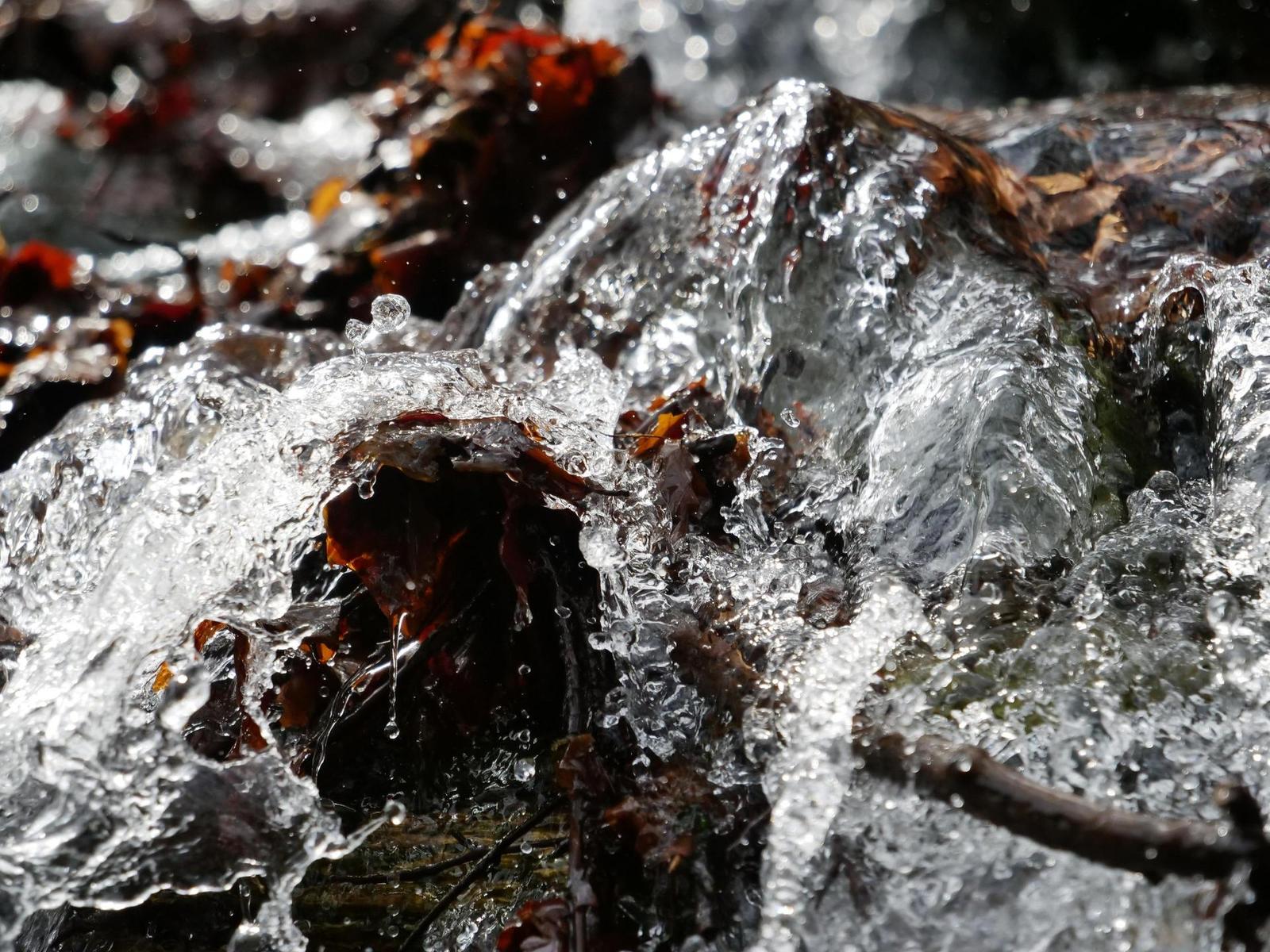 Panasonic Lumix GH5: video-profesionál