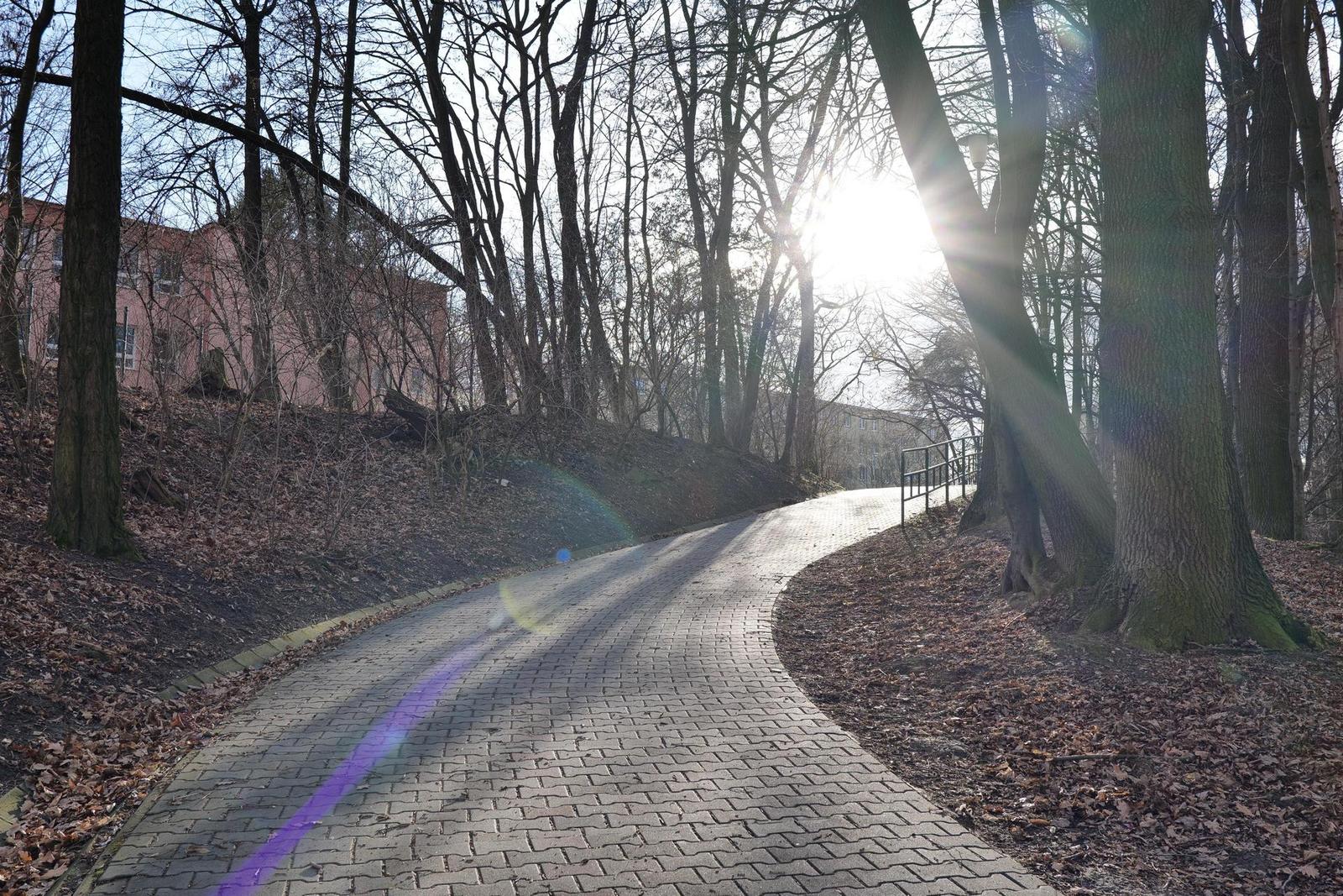 Panasonic Lumix S 35mm F1.8