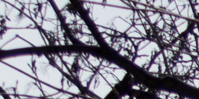 Nikon AF-S NIKKOR DX 55-300mm 1:4.5-5.6G ED VR