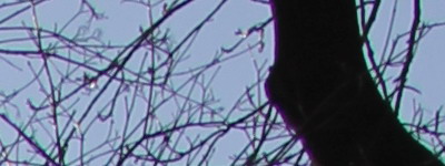 Megatest ultrazoomových objektivů