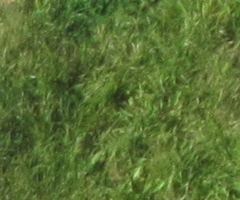 Canon IXUS 300 HS: superstylovka i pro náročné