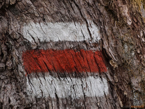 Olympus M.Zuiko Digital 40-150 mm F4-5,6 + nová R verze