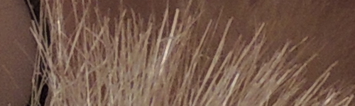 Nikon Coolpix P510: lovec rekordů