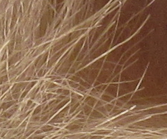 Canon IXUS 200 IS: poprvé dotykově