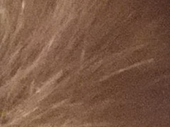 Fujifilm FinePix HS20EXR: důstojný nástupce