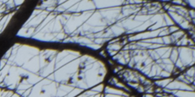 Fujifilm X-S1: jedinečný