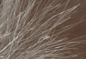 Sony NEX-5R: fázový posun k lepšímu?