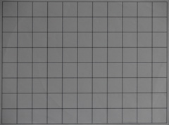 Canon EOS 550D: třídní premiant