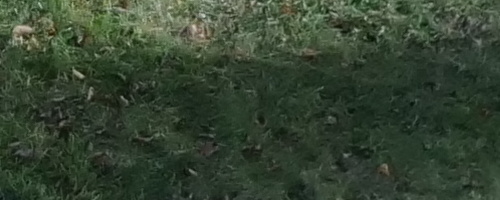 Panasonic Lumix GH5 II: nejen pro vloggery