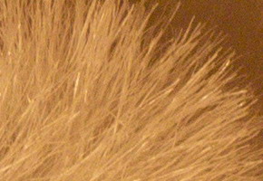 Sony NEX-C3: drobek s velkým srdcem