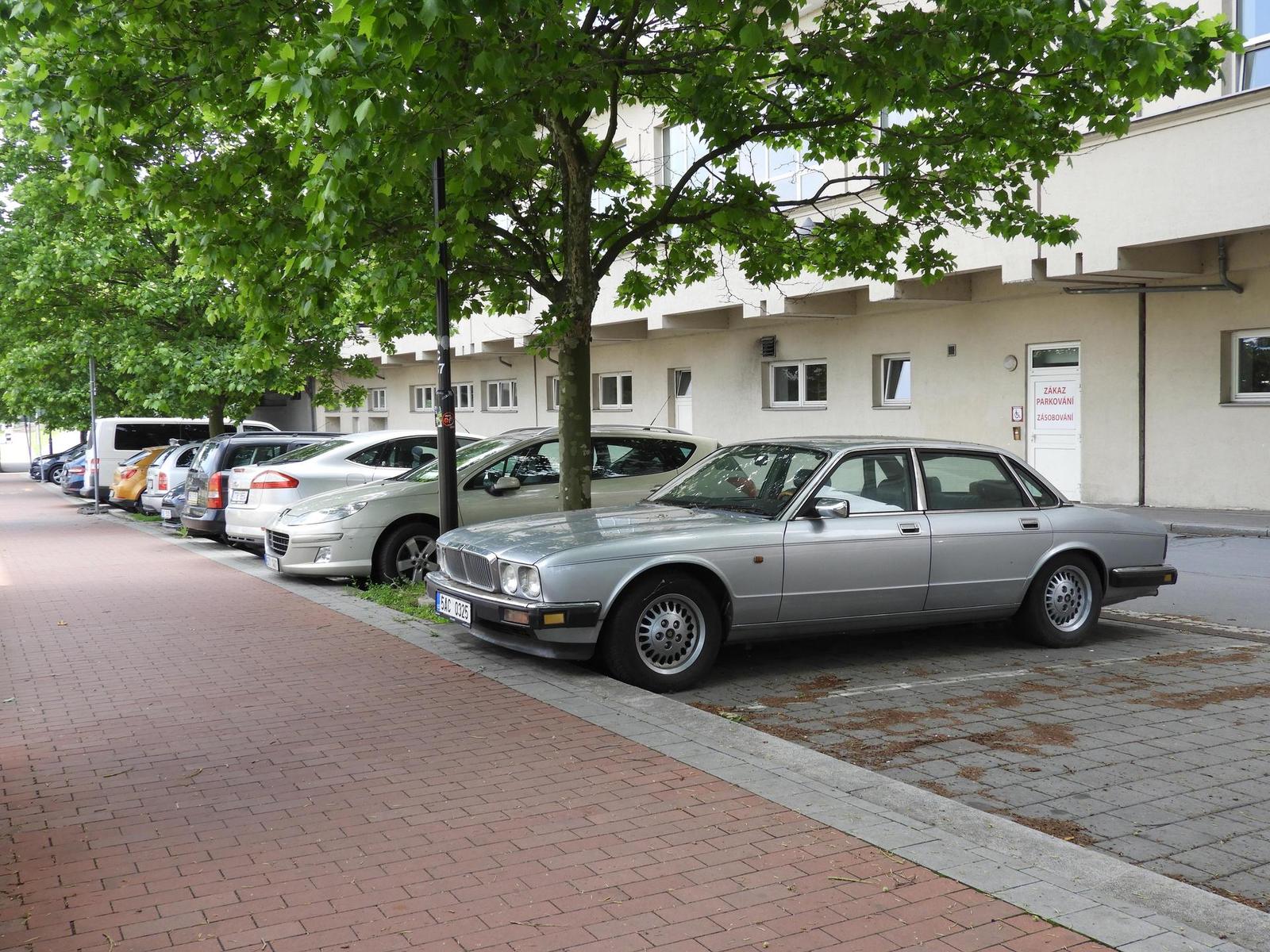 Nikon Coolpix B700: přírodovědec