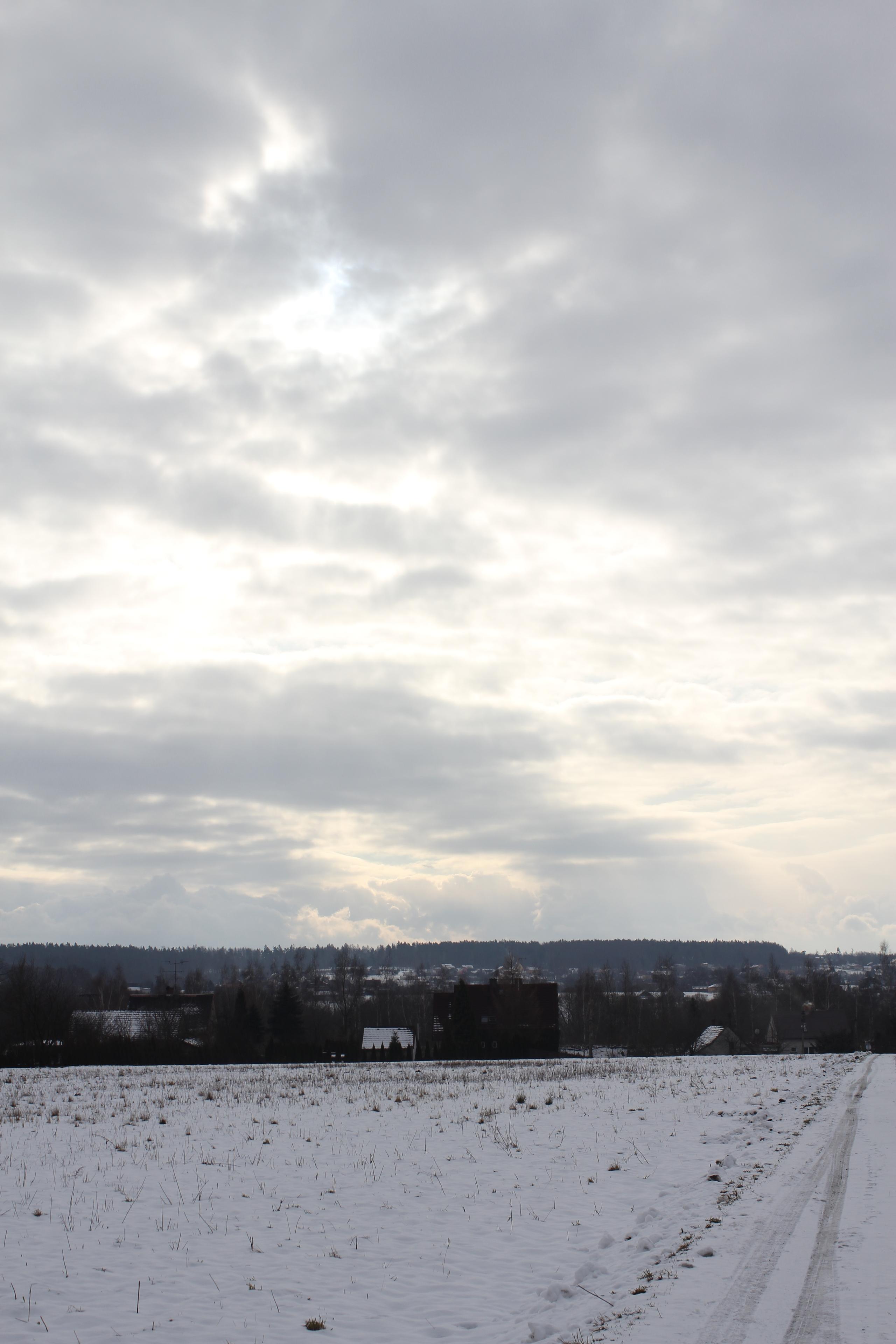 Canon EOS 60D: na pomezí dvou světů