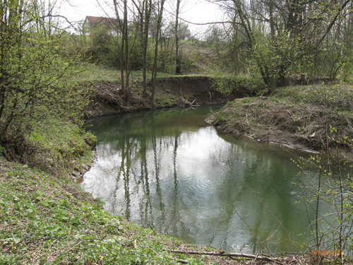 Canon PowerShot A590 IS: malý, ale šikovný