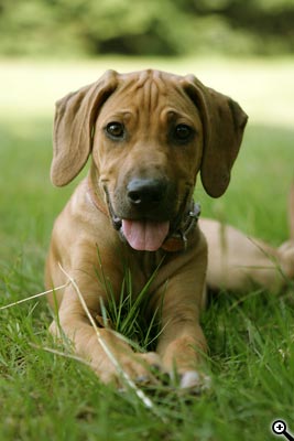 Cesta ke kvalitní fotografii: 3.díl