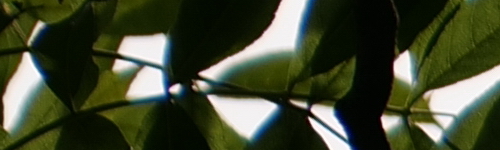 Panasonic Lumix S Pro 70-200mm F4 O.I.S.