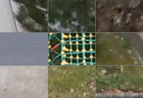 Nikon Coolpix A900: 4K do kapsy