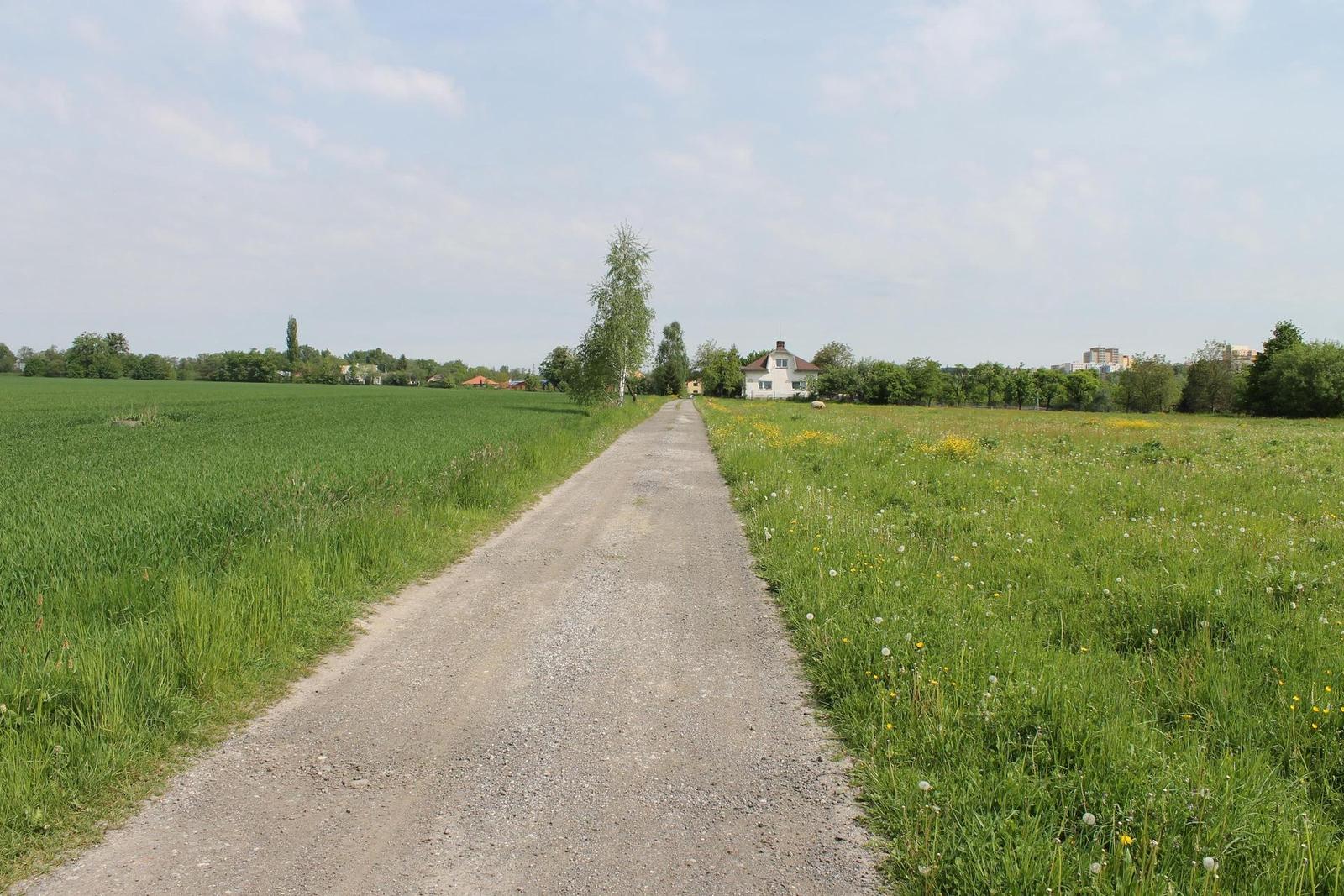 Canon EOS 1100D: vstup do světa DSLR