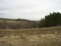 Casio Exilim Card EX-S600: Asijský plátek na fotografický způsob