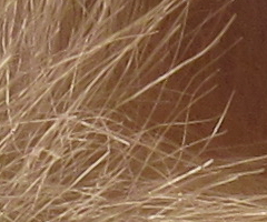 Canon IXUS 200 IS: poprvé dotykově