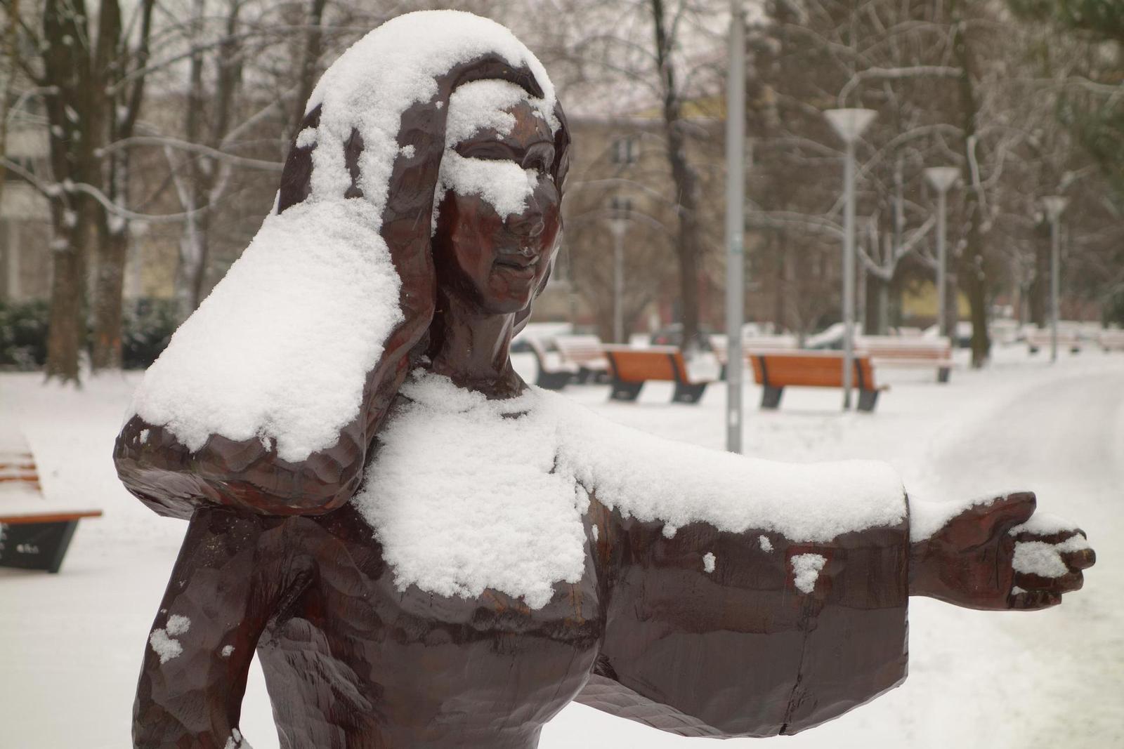 Canon PowerShot G9 X vs Sony Cyber-shot RX100