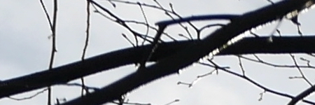 Panasonic Lumix G Vario 35-100mm F4-5.6 MEGA O.I.S.