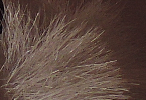 Nikon Coolpix P330: do vyšších sfér