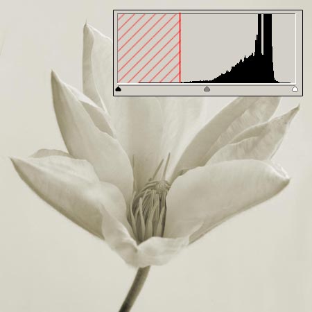 Úpravy fotografií v PC, 4.díl - gamma