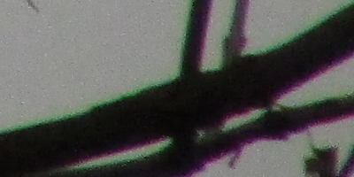 Canon PowerShot SX500 IS: fotící stroj času