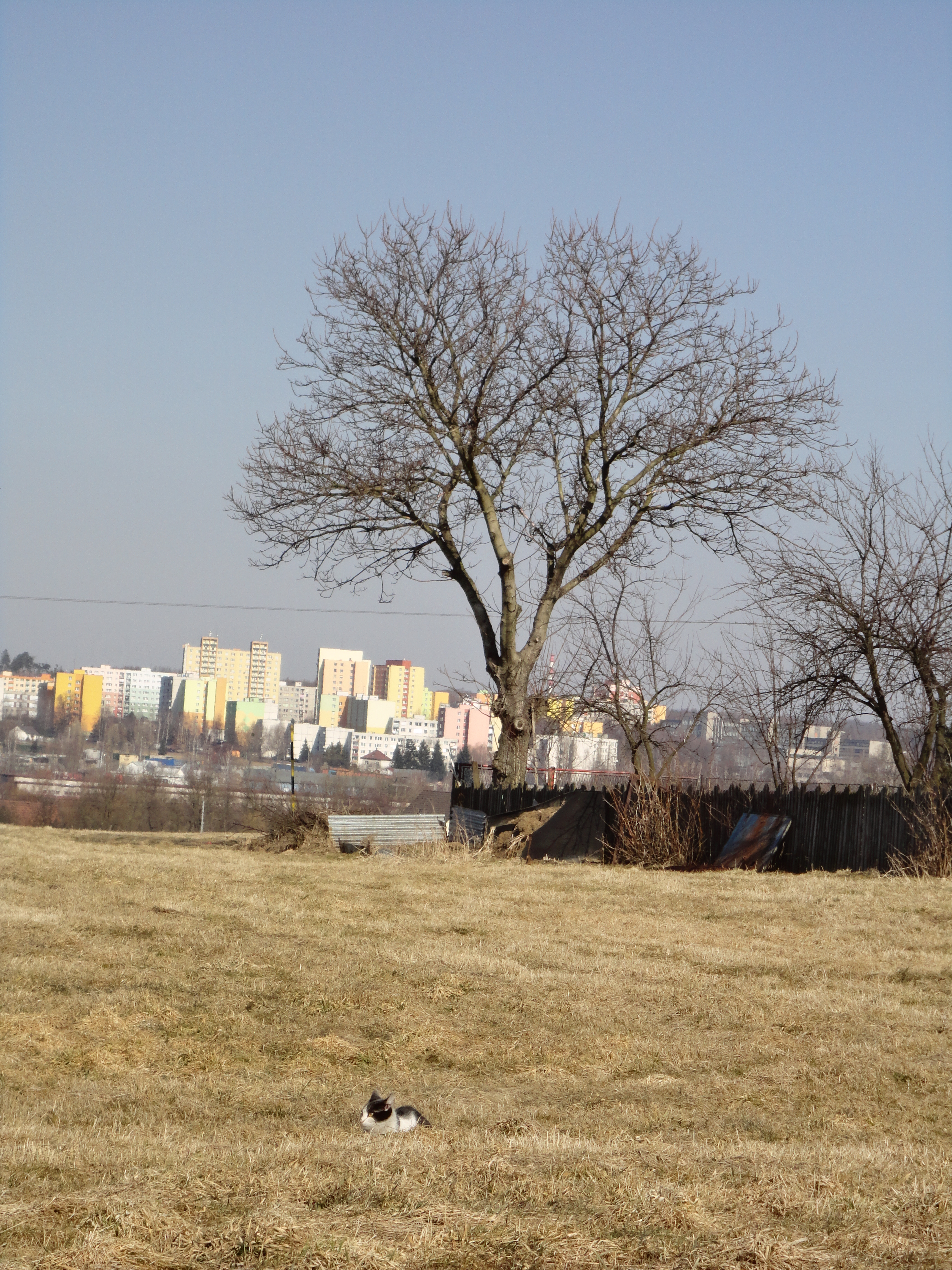 Sony Cyber-shot W570: jde to i s 16 megapixely