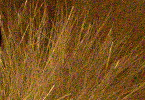 Nikon D5300: bezdrátový DSLR turista