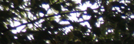 Panasonic Lumix FZ300: opět na špici